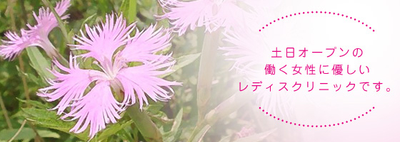 土日オープンの働く女性に優しいレディスクリニックです。